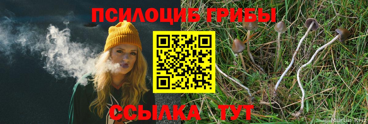 Псилоцибиновые грибы мицелий  Вход с VPN  Галлюциногенные грибы прущие грибы  Дедовск 